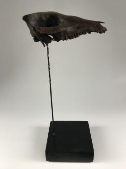 Церемониальный череп народа Атони