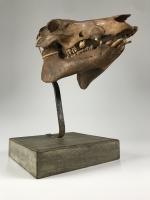 Церемониальный череп народа Атони_0